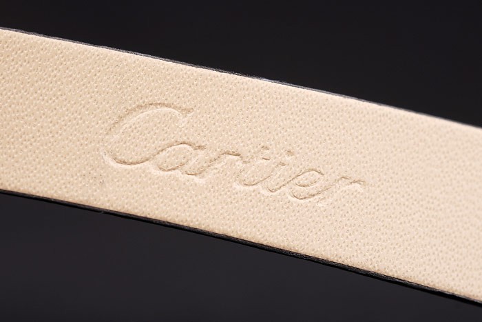 Cartier Replique Montre 3795-5